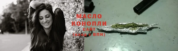 индика Волосово